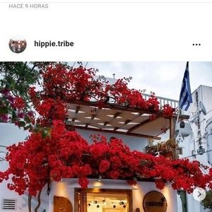 Meet your Posher, Celia